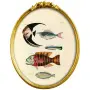 Картина «Фантастика подводного мира» в раме «Бетти» (том 1, версия 24)