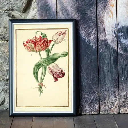 Арт-постер «Тюльпаномания» версия 5