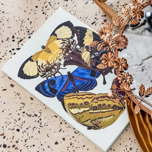 Картина «Бабочки мира», версия 14 (холст, галерейная натяжка)