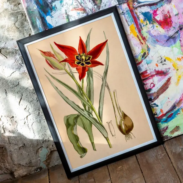 Арт-постер «Тюльпаномания» версия 10