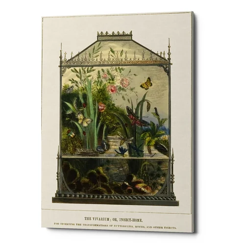 Картина «Бабочки мира», версия 18 (холст, галерейная натяжка)