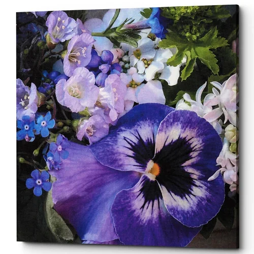 Картина «Aster Purple» (холст, галерейная натяжка)