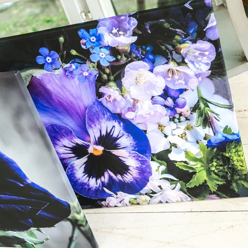 Картина «Aster Purple» (холст, галерейная натяжка)