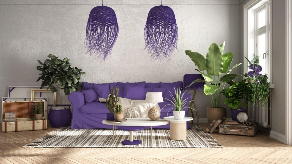 Фиолетовый дизайн комнаты с зелёными растениями.jpeg