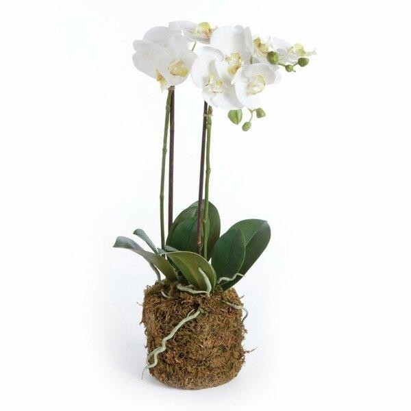 Орхидея пластиковая декор дома.jpeg